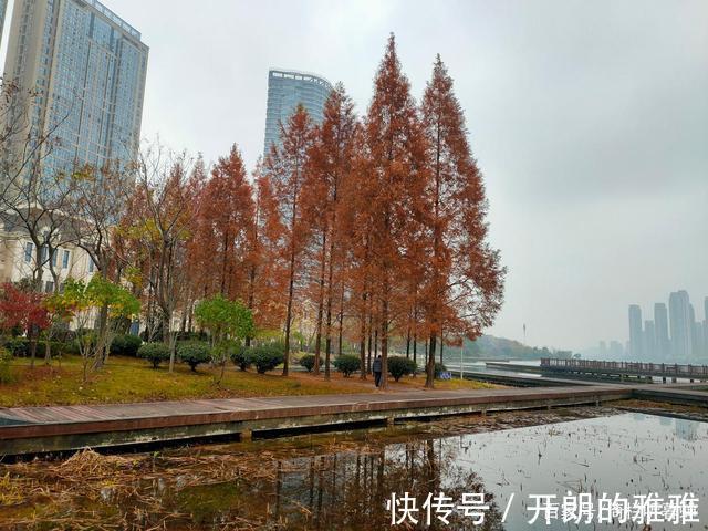 梅溪湖@《五绝·冬日游梅溪湖》逍遥碧水边,湖清树自闲