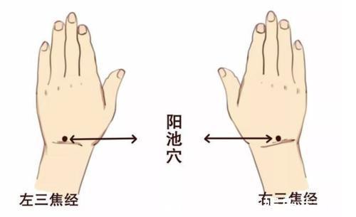阳池穴|手上有个“生暖穴”,每天按揉10分钟,告别手脚冰凉!