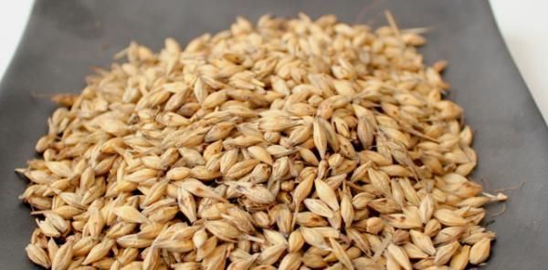 脾胃|十人九虚!老中医一个妙方,1味中药泡茶喝,轻松改善气虚体质