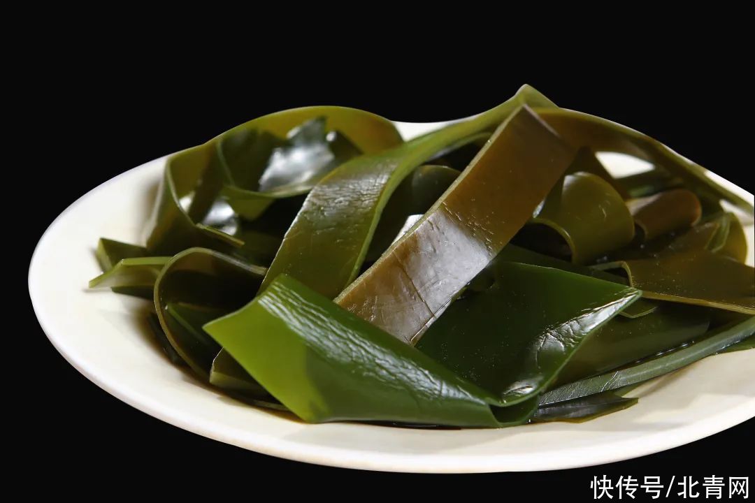 海藻|裙带菜和海带有啥区别？哪个营养更丰富？别再傻傻分不清了