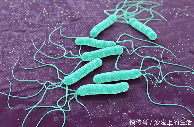 蜂蜜|幽门螺杆菌过多?取一物泡来喝,或能修复胃黏膜 ,胃好口臭无