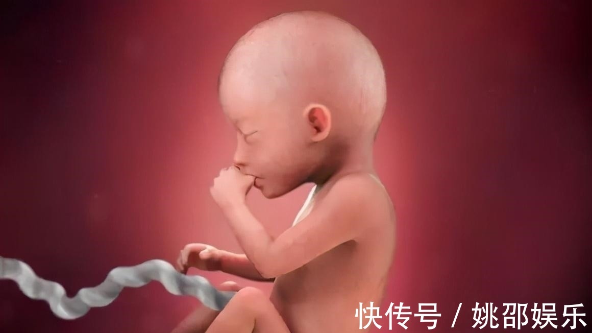 羊水|胎宝在妈妈肚子里无聊不?是时候告诉孕妈真相了,怪可爱的