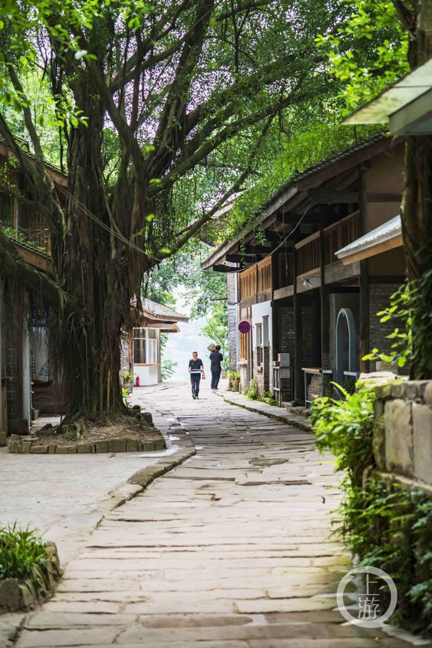 金刚碑|即将重新开街的古村落 金刚碑涅槃重生