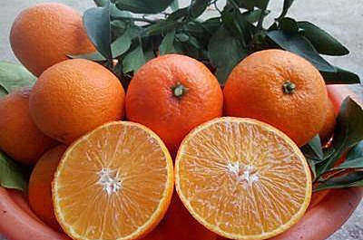 冬季養生正當時，多吃三種食物，排毒素垃圾，給身體大掃除