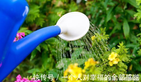 浇花|这5样“小药丸”不值钱,过期了却仍能磨粉养花,好处多多