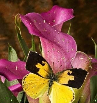 人心$良言20句,见证人心,看透人性看一次胜读十年书