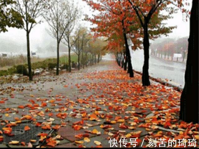 秋风&风婉约,雨薄凉,秋思缱绻秋韵静