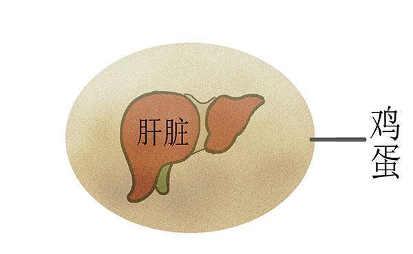 坚持每天早上喝一碗“开水冲鸡蛋”,一段时间后,身体会变得怎样