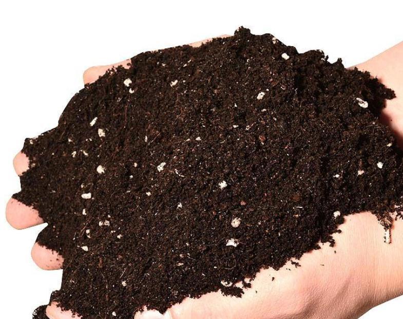 养花旧土变新土,只需4步就搞定,比买的营养土还肥沃