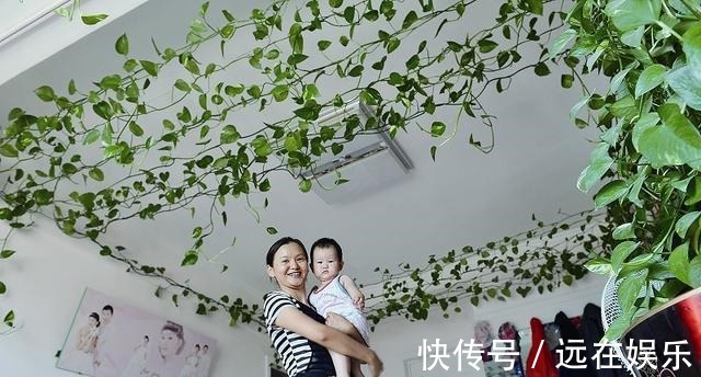 三层楼|用这“3种水”浇绿萝,就相当于施肥了,叶片油绿,挂满三层楼