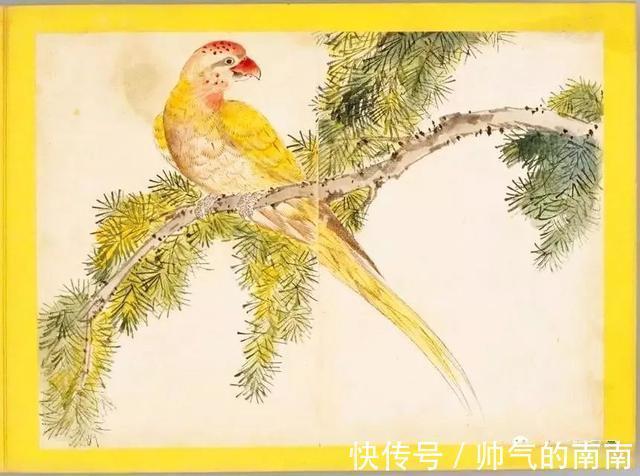 画谱!《百花鸟图》选页欣赏