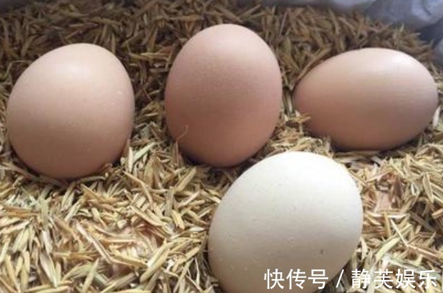 鸡蛋最怕和4种东西搭配，你可知道搭配它，却能营养翻倍