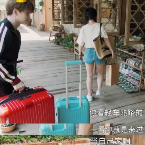 扎心|任嘉伦上《向往》变身“怼王”，句句扎心谭松韵，气得她成表情包