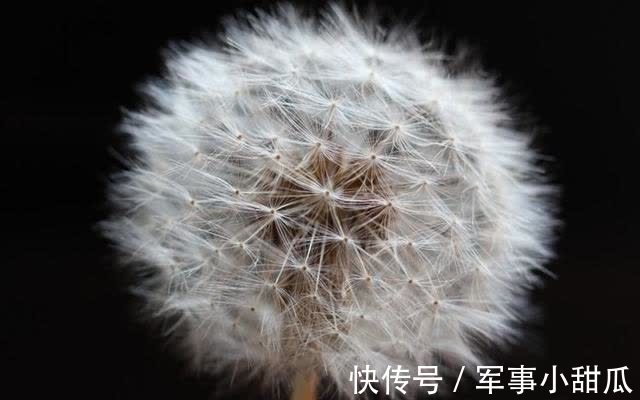 星座|8月下旬，桃花运迎面来，桃花运指数高涨，爱情美满的四大星座