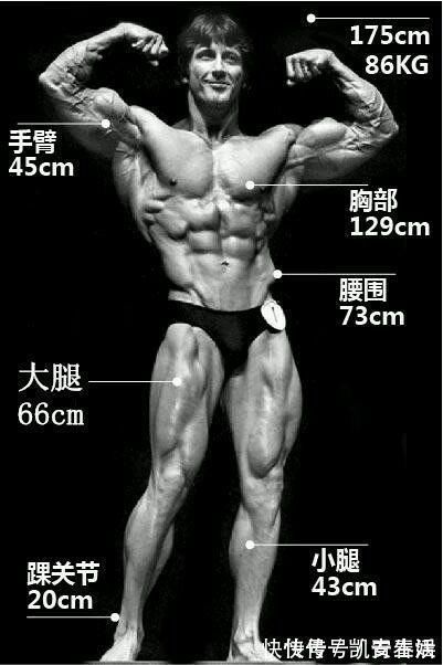 健美|健美运动有史以来10大最佳体形评选，施瓦辛格居然不是第一名？