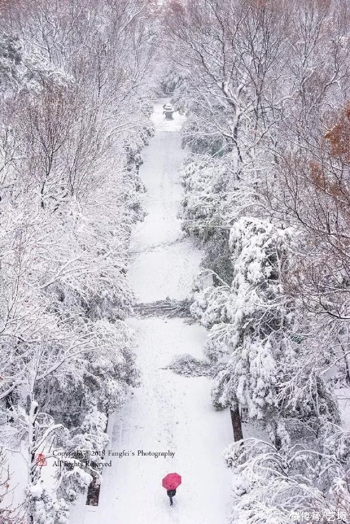 天下风物——《【江南雪，美极了】诗韵咏合》风光题照