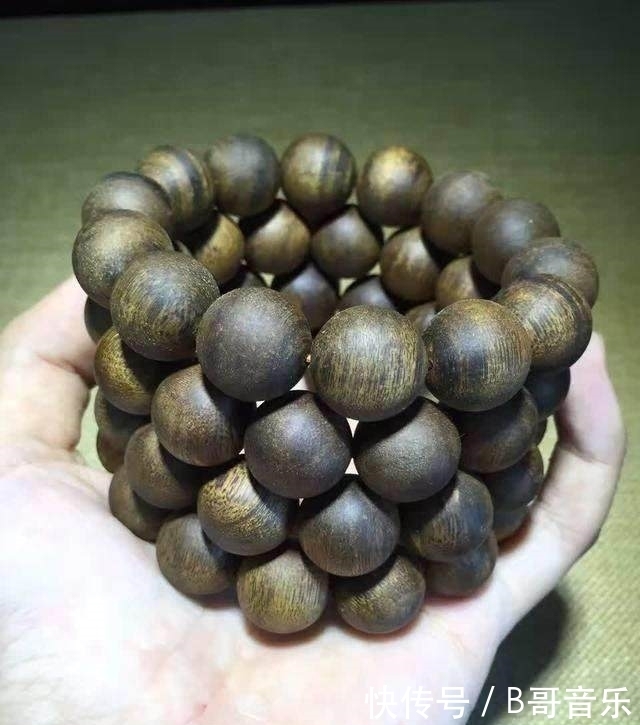 老炮从越南带回两根黑棒槌 一刀切开 激动得以头抢地 拂掌而呼