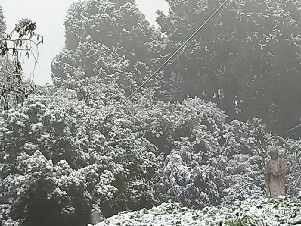 妙高镇金城山雪景图