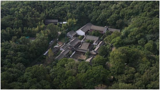 保国寺|千年古刹保国寺三千桂花竞相盛开