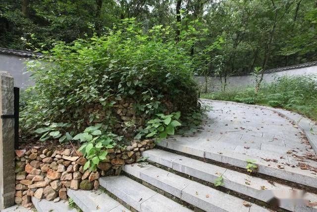 丹青|觅画记·阎立本朝廷号为丹青神化(下)韦力撰