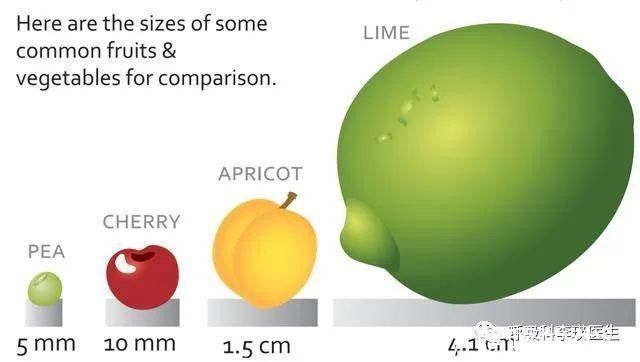 肺癌|查到肺结节就是早期的肺癌?关于肺结节的13个常识问答,你知道吗?