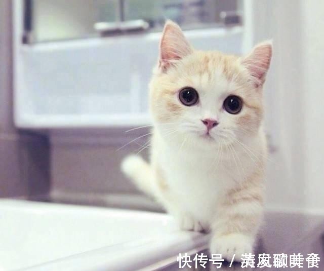 |笑得直不起腰的厚脸皮句子,幽默风趣,搞笑逗比!