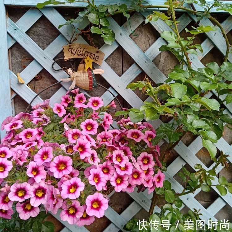 美好时光|花园改造：3年前买了栋带170㎡花园的房子，过上种花草的乡村生活