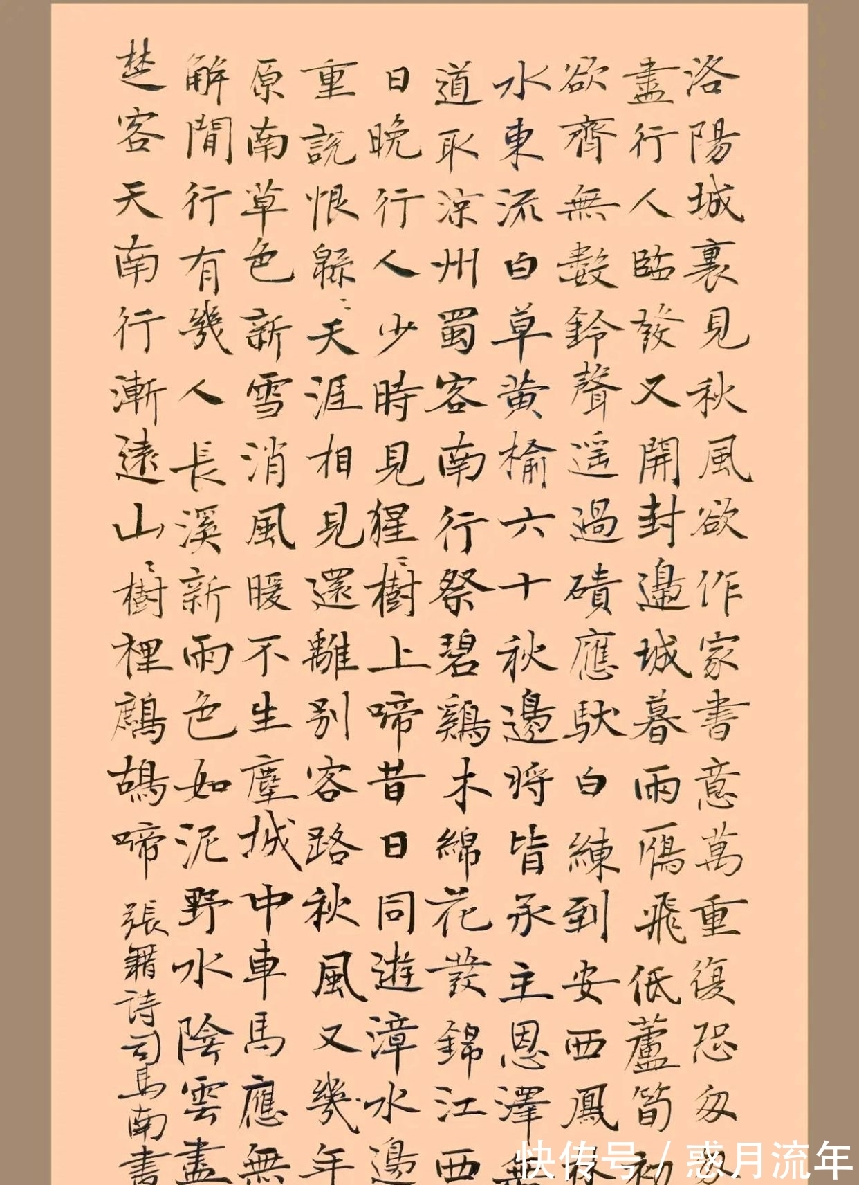 书法作品#司马南书法作品欣赏,小楷书法刚劲有力,字如其人,宛如“斗士”