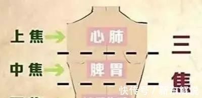 难经|搞懂了人体的“三焦”，所有疑难杂症，都可迎刃而解，建议收藏！