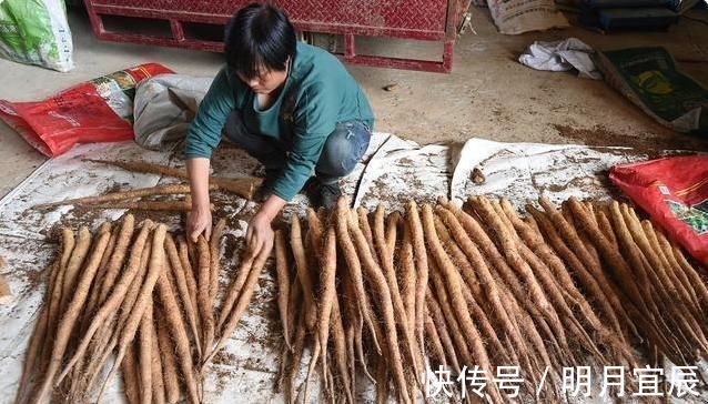 肠胃不好|3种信号,是脾胃虚寒!3种食物每天吃,脾胃不虚寒,肠胃更活力