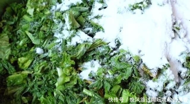 在菜市场看到“此菜”别错过,拿回家加点盐,邻居给钱都不卖!