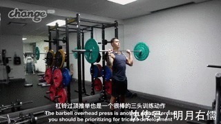 肱三头肌|手臂太细怎么练掌握这3点,“肱三头轰炸”练出麒麟臂