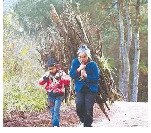 人设|老实人怎么从根本上改变性情？