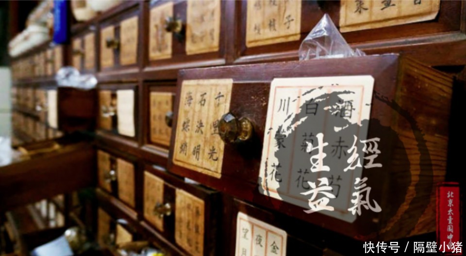 损伤|马尾神经损伤,中医讲述生经益气汤的绝妙之处!