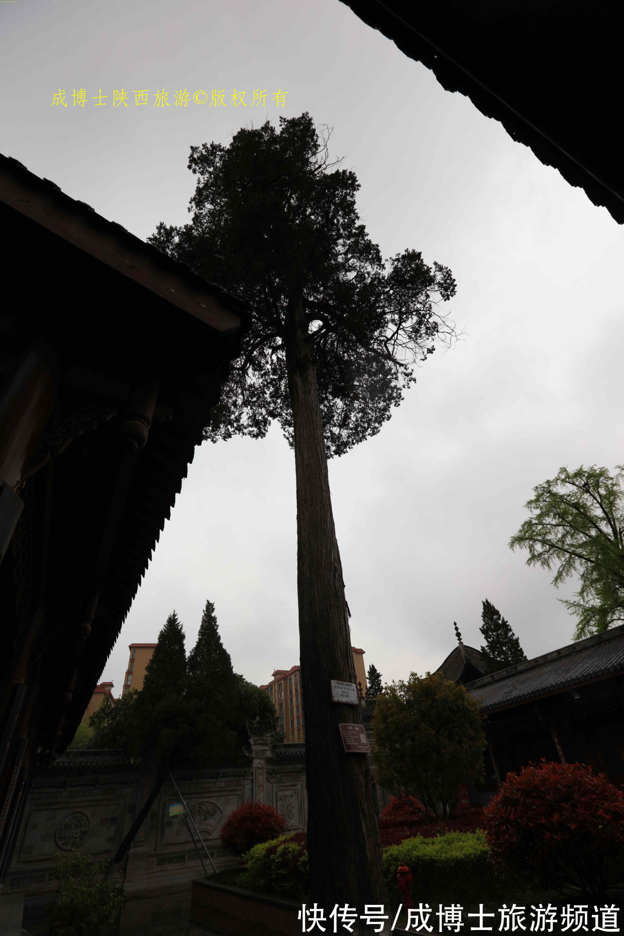 旅游者&汉中西乡隐藏着一个清真寺，历史文化价值极高，却总被旅游者忽视