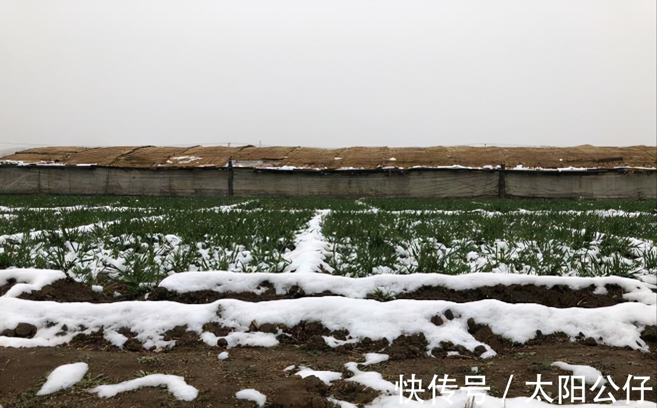 腊月#四九已过,何时下雪?老人说:“下不下,就看腊月二十一”,为啥