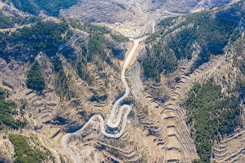 探寻大山深处的济南金刚纂村，盘山公路蜿蜒曲折，村里有两棵古树