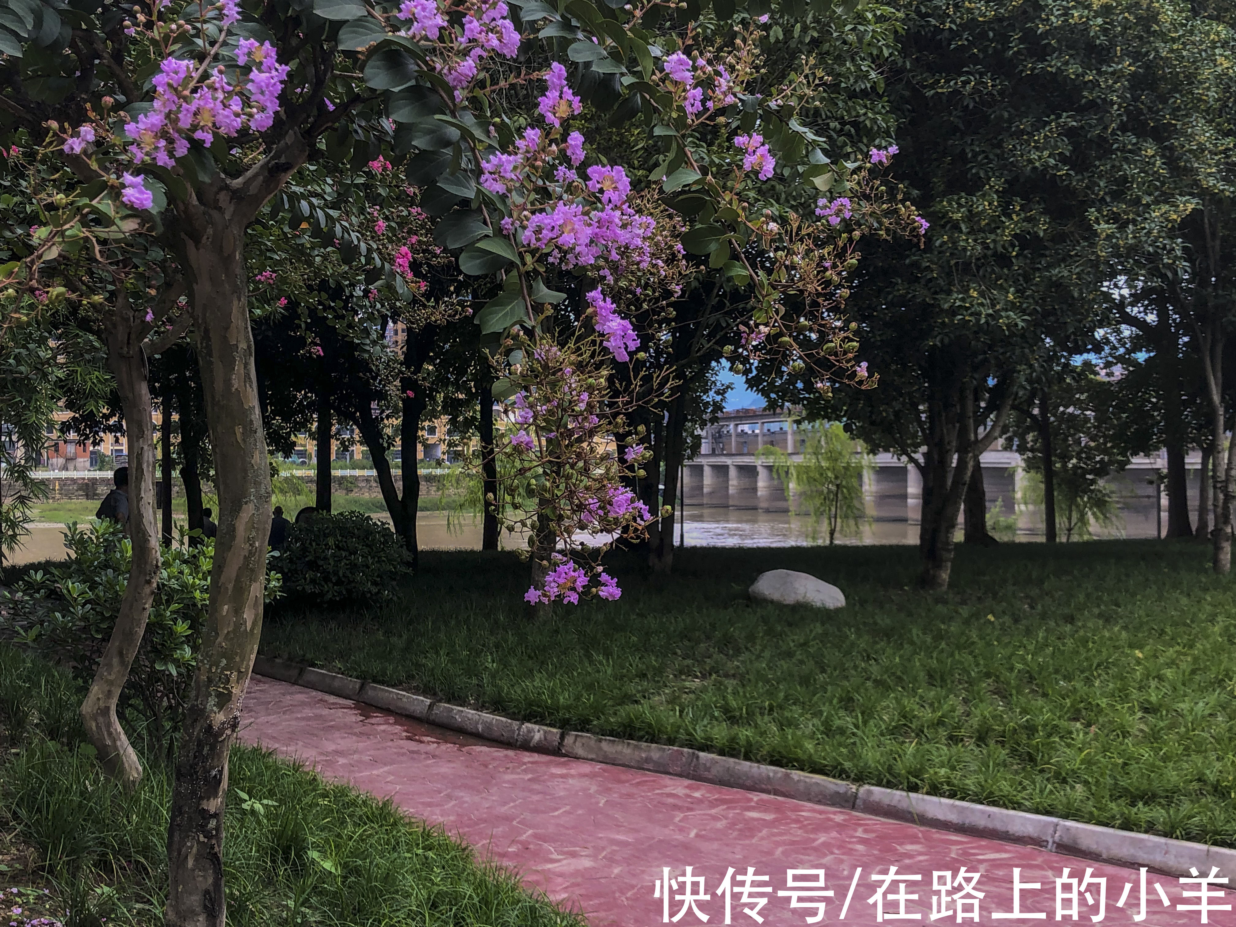 大桥|旅游成都唯一的“公园水城”，没想到县城内就有这么多好玩的地方