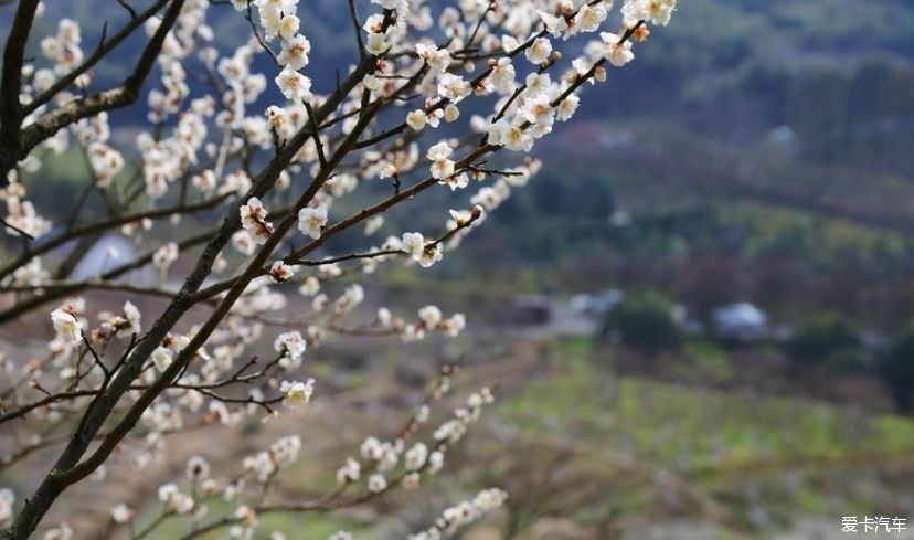 一日穿越四朝，恍若梦回千年