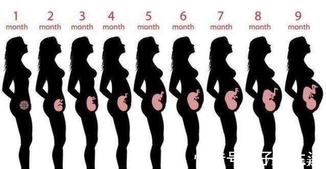 准妈妈|准妈妈肚子何时“偷偷”变大的孕期是否显怀,跟4个因素有关
