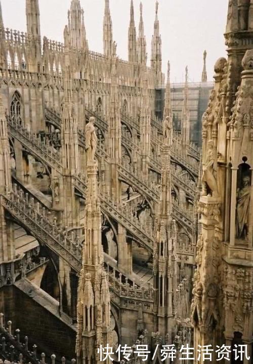 不懂就问!万能的网友,这些奇怪的东西,都是啥啊