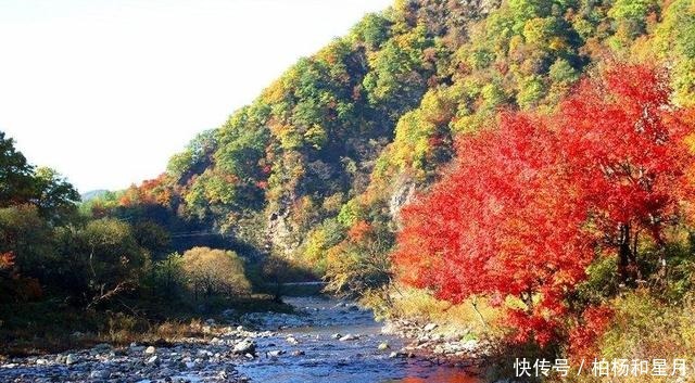  辽宁本溪这四种特产，一个比一个美味，看着就让人“垂涎欲滴”！