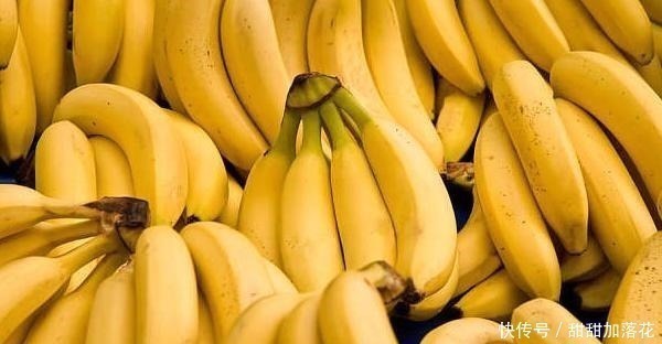 苹果|这4种水果,再贵也要买给孩子吃,大脑发育好,还能保护视力