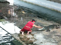 |搞笑美女GIF：舞蹈系女生寝室的日常！目光所到之处都是美腿！