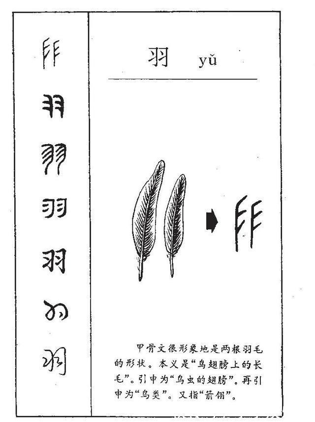 路途|10个带羽字才华横溢的男宝名字,一眼就让你心动