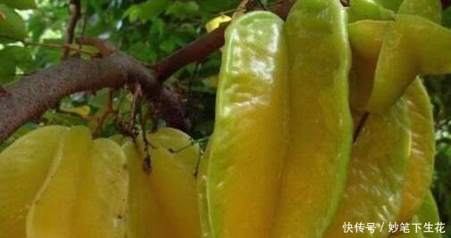 肾脏|公认四大“伤肾”食物,尤其最后一种,贪吃加速“肾透支”!