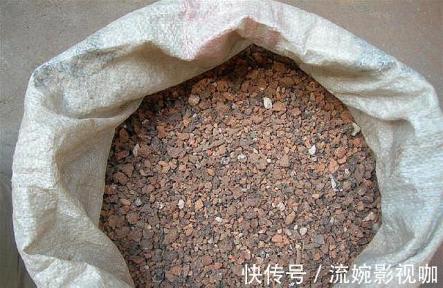 羊粪肥|养花旧土别扔,“3样”东西加一点,土质肥沃,养花特旺,开花多