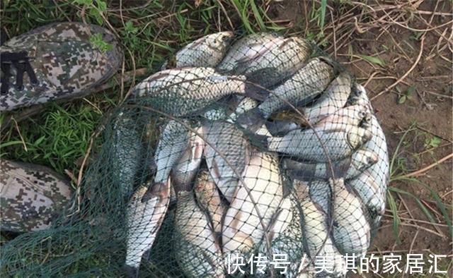 浅水|春季钓浅滩，秋季钓边边，秋季钓边从何时开始？钓什么样的边边？