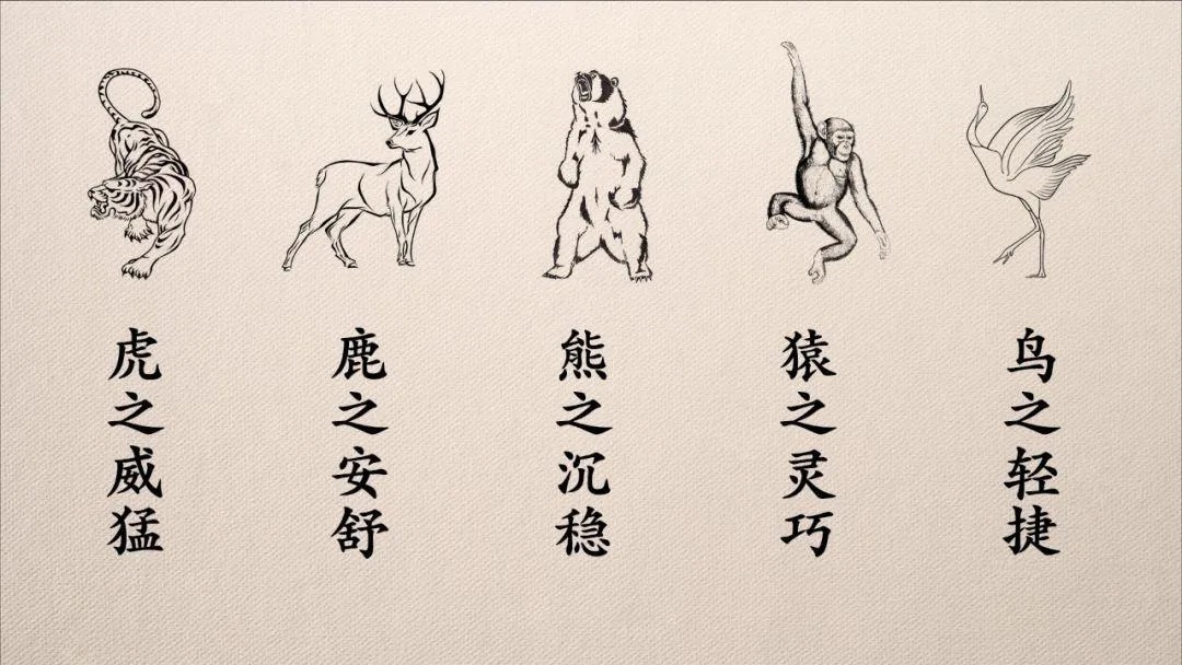 健身|一起学！做完八个动作 畅通全身血气