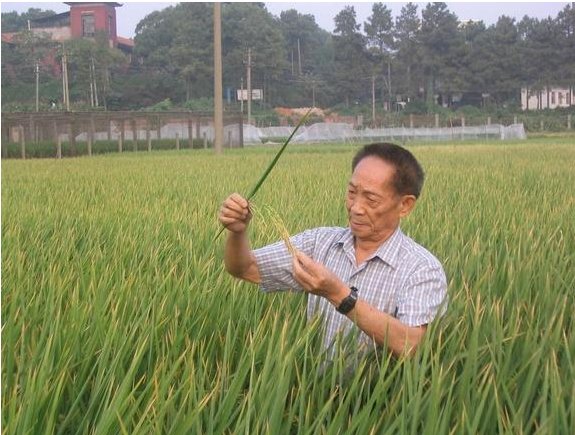 荷塘月色|崔同凡专栏｜古风新韵六首